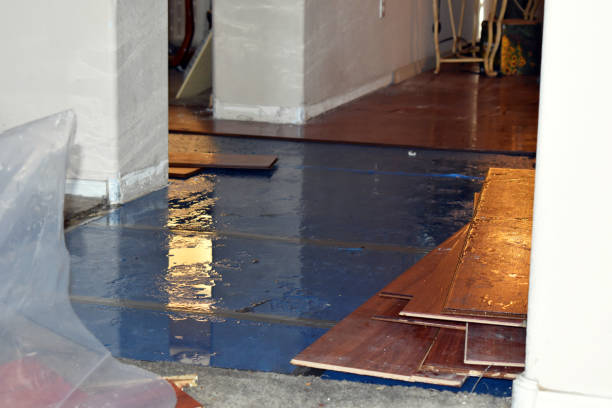 Professional Burst Pipe Cleanup technician working in Harlan, IN